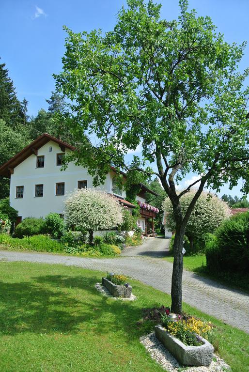 Haus Am Waldrand - Ferienwohnung Augustin Grafenau  Exterior photo
